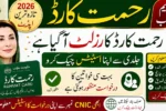 CM Punjab Rahmat Card Status Check Online 2026 Via CNIC and Application ID