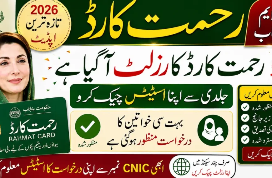 CM Punjab Rahmat Card Status Check Online 2026 Via CNIC and Application ID